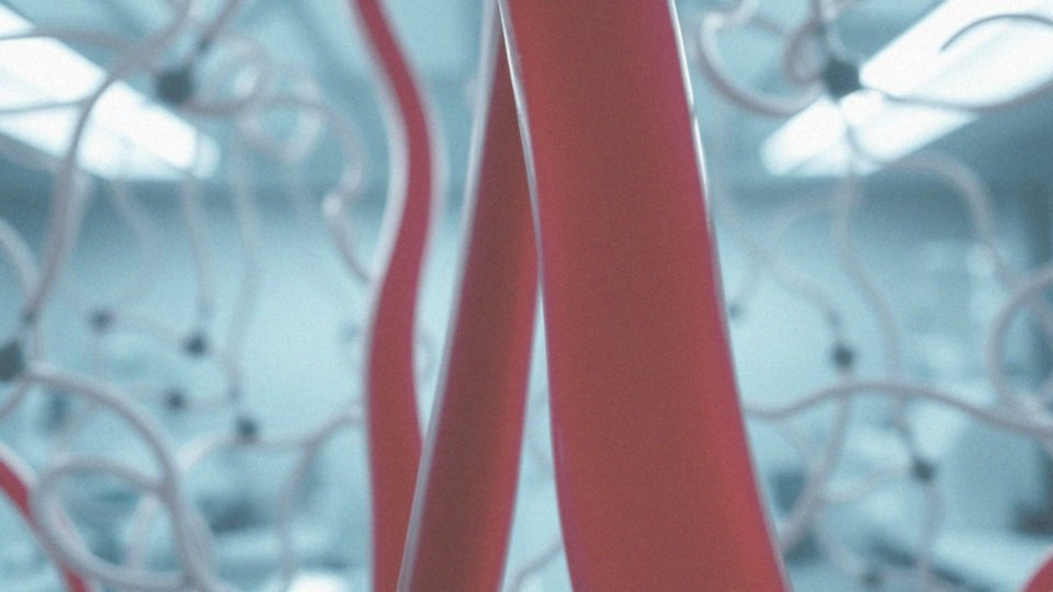 W jaki sposób LiotoMax 3 poprawia elastyczność naczyń żylnych?