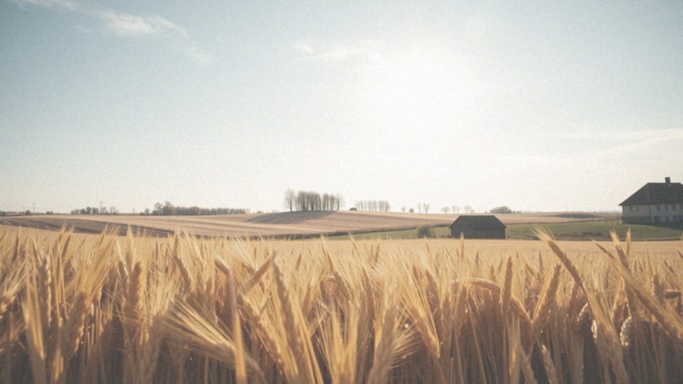 Czy wrzesień przyniesie wyższe temperatury od normy?