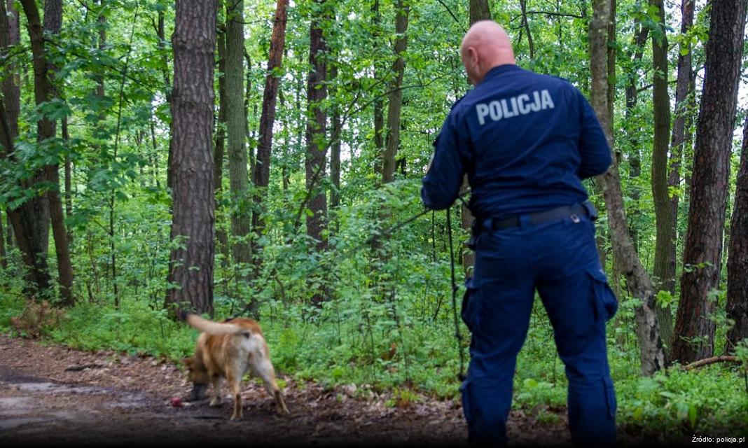 Oszustwo na zakupach online w Wyszkowie – 21-latek stracił 1000 zł