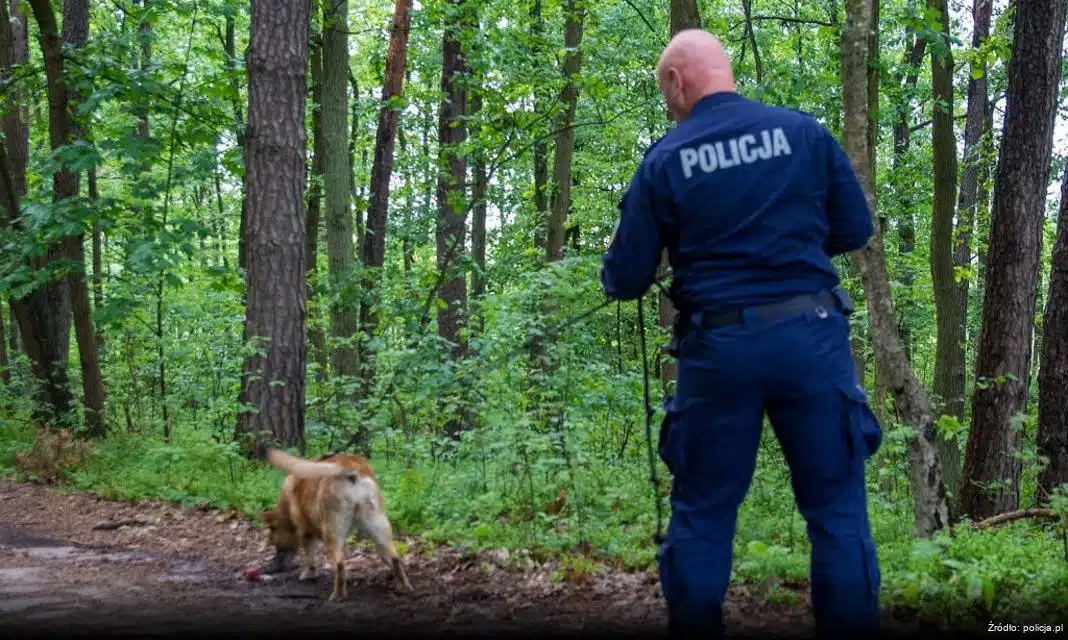 Kontrolno-prewencyjna akcja policji w Wyszkowie dla użytkowników hulajnóg i rowerów