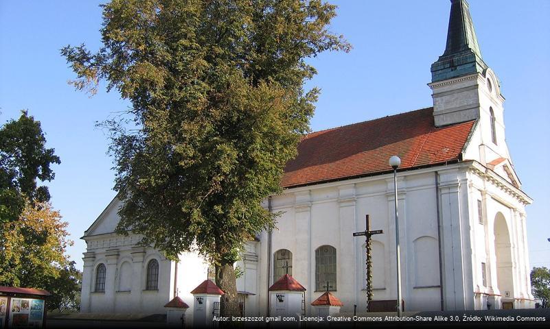 Parafia św. Idziego w Wyszkowie