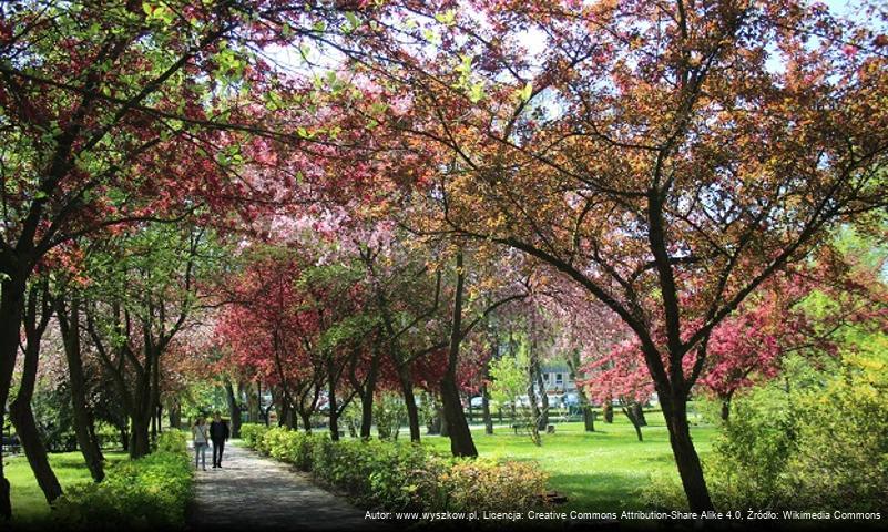 Park Karola Ferdynanda Wazy w Wyszkowie