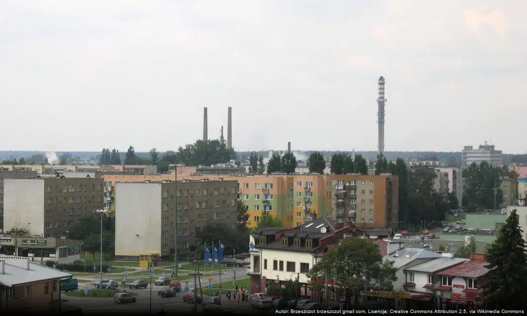Bezpłatne konsultacje dla organizacji pozarządowych w Wyszkowie